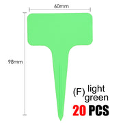 20pcs light green