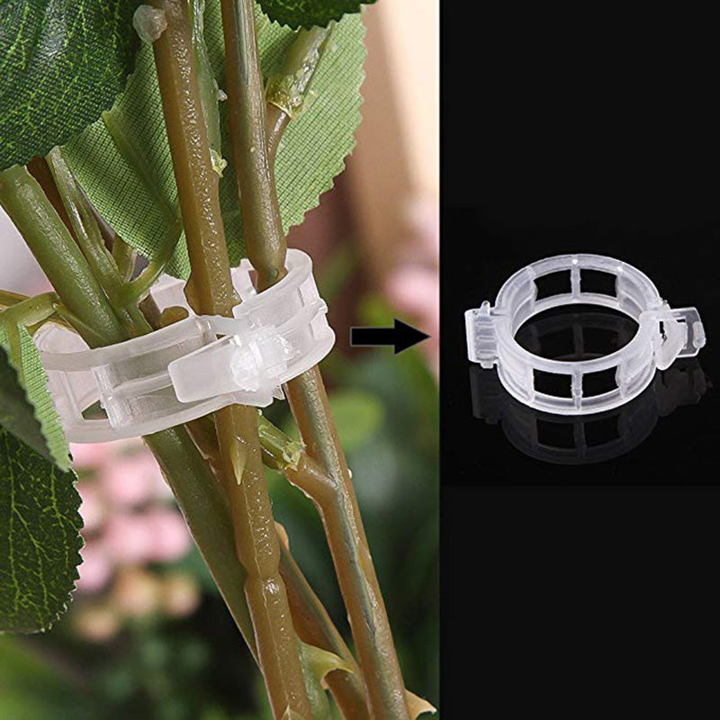 50/100Pcs 30Mm Plastic Plant Support Clips For Tomato Hanging Trellis Vine Connects Plants Greenhouse Vegetables Garden Ornament