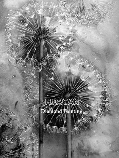 Huacan Diamond Painting Kit Flower Handmade Gift Embroidery Black And White Dandelion Living Room Wall Decoration