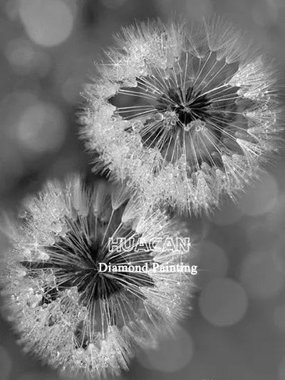 Huacan Diamond Painting Kit Flower Handmade Gift Embroidery Black And White Dandelion Living Room Wall Decoration