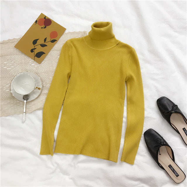 Knitted Women High Neck Sweater Pullovers Turtleneck Autumn Winter Basic Women Sweaters Slim Fit Black