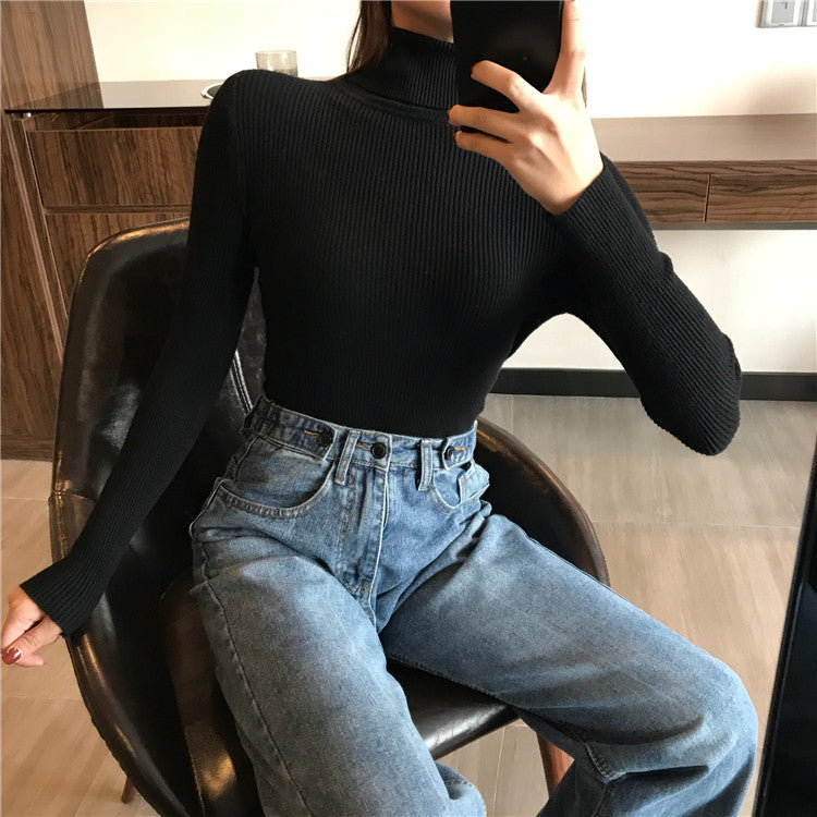 Knitted Women High Neck Sweater Pullovers Turtleneck Autumn Winter Basic Women Sweaters Slim Fit Black