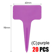 20 piezas púrpura